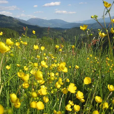 Lejlighed Altes Pfarrhaus Altersberg *