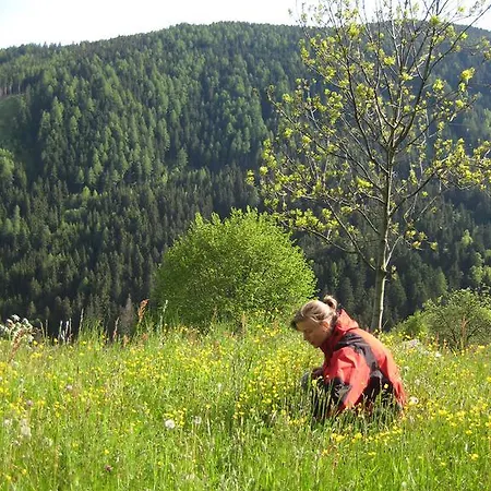 Altes Pfarrhaus Altersberg Trebesing