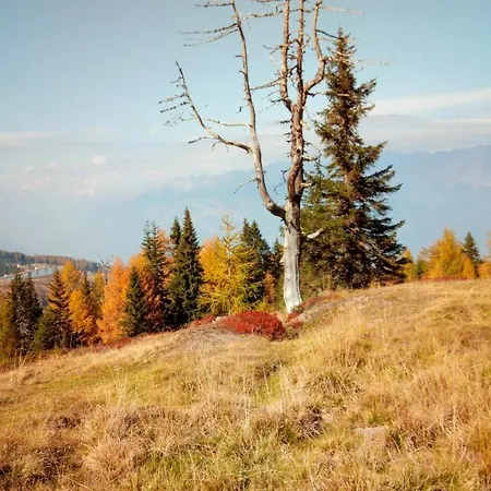 Altes Pfarrhaus Altersberg Lejlighed Trebesing