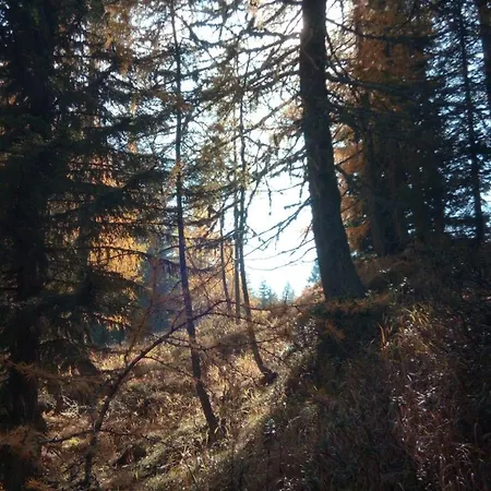 Altes Pfarrhaus Altersberg Apartment *