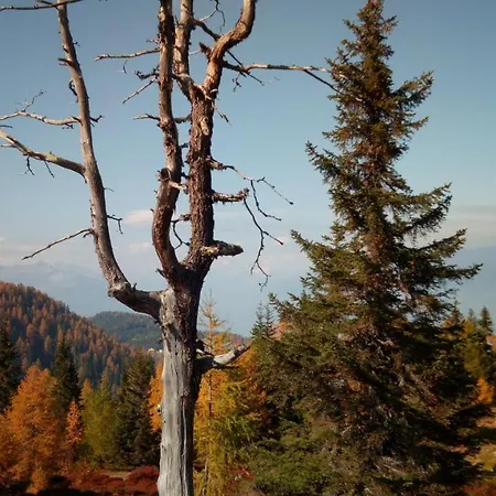 Altes Pfarrhaus Altersberg Trebesing
